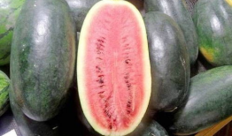 黑瓜吃料网每日爆料fun,fun每日精彩内容大盘点